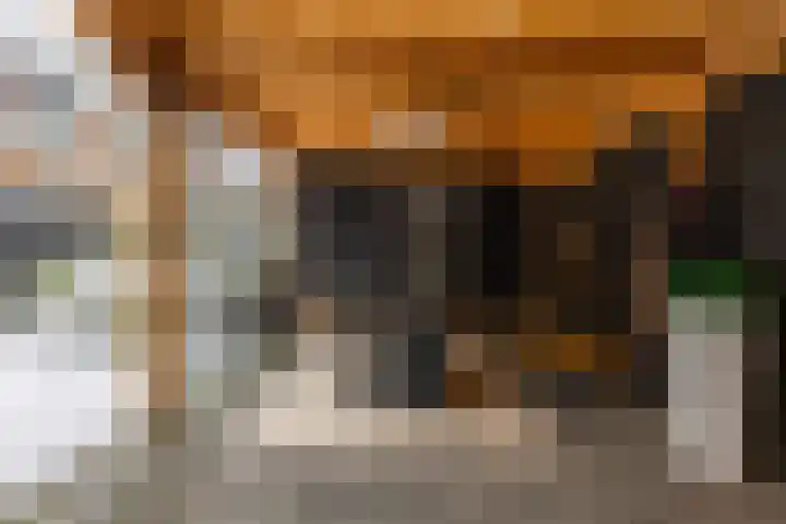 Rozemarijnstraat 33 Groningen thumbnail 43