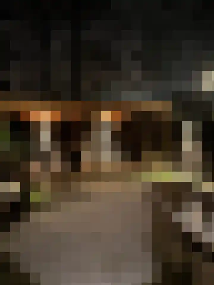 Rozemarijnstraat 33 Groningen thumbnail 46