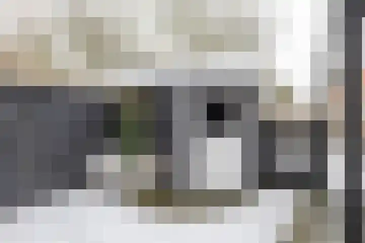 Rozemarijnstraat 33 Groningen thumbnail 49