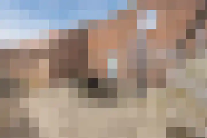 Rozemarijnstraat 34 A Eindhoven thumbnail 16