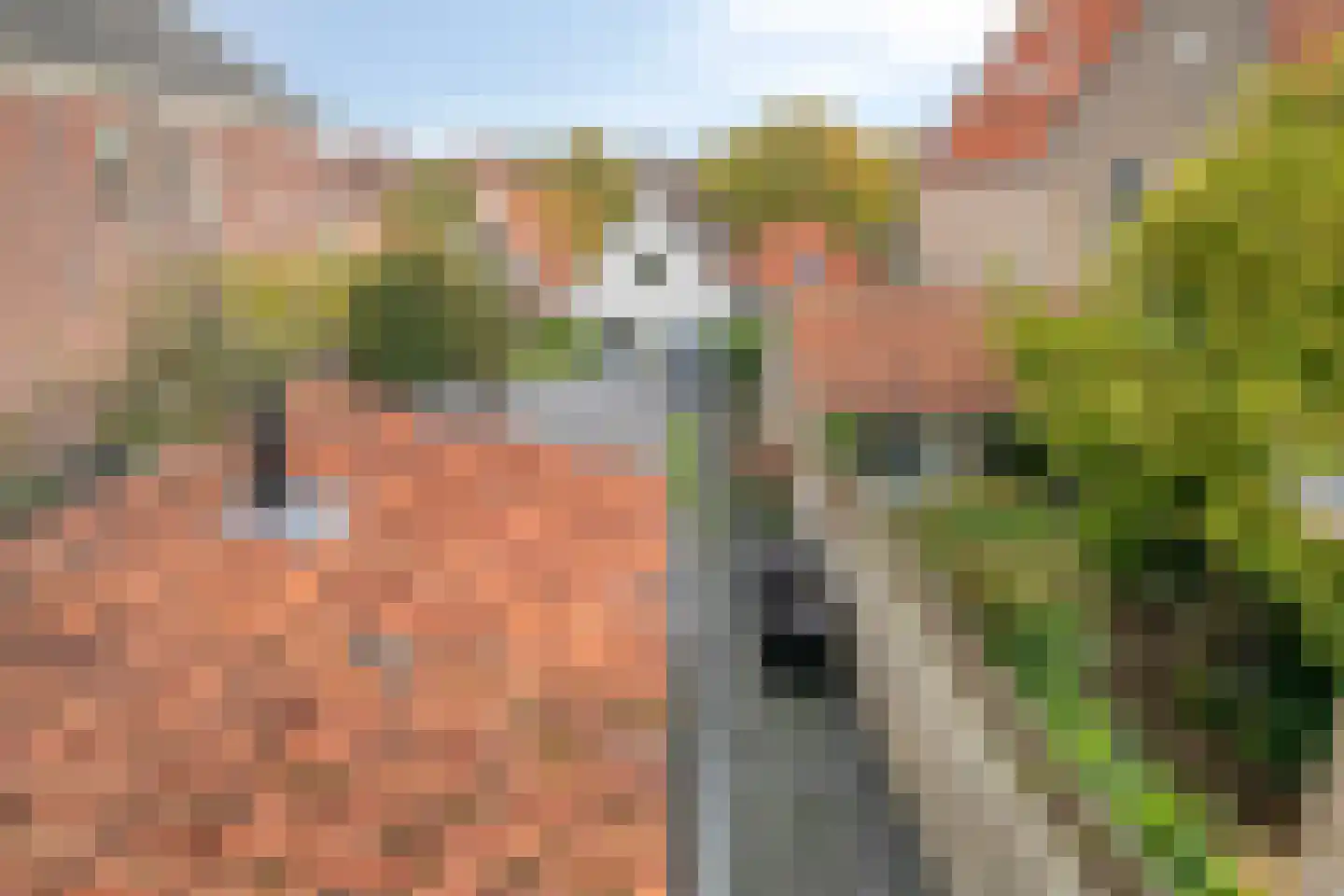 Rozemarijnstraat 34 Brielle thumbnail 30