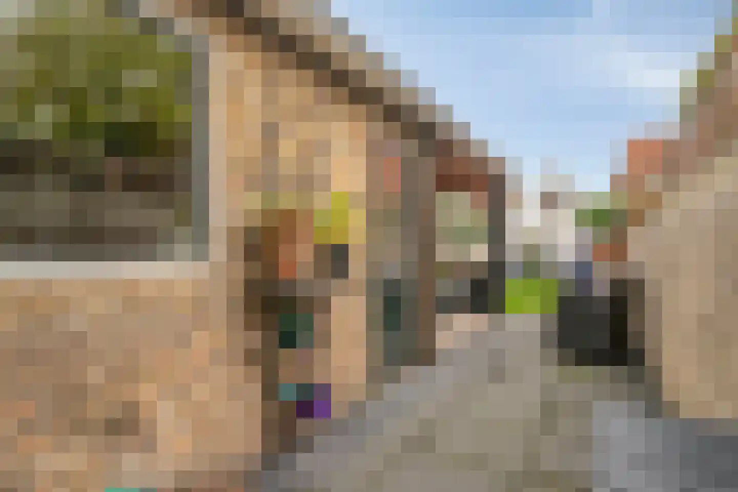 Rozemarijnstraat 34 Brielle thumbnail 31