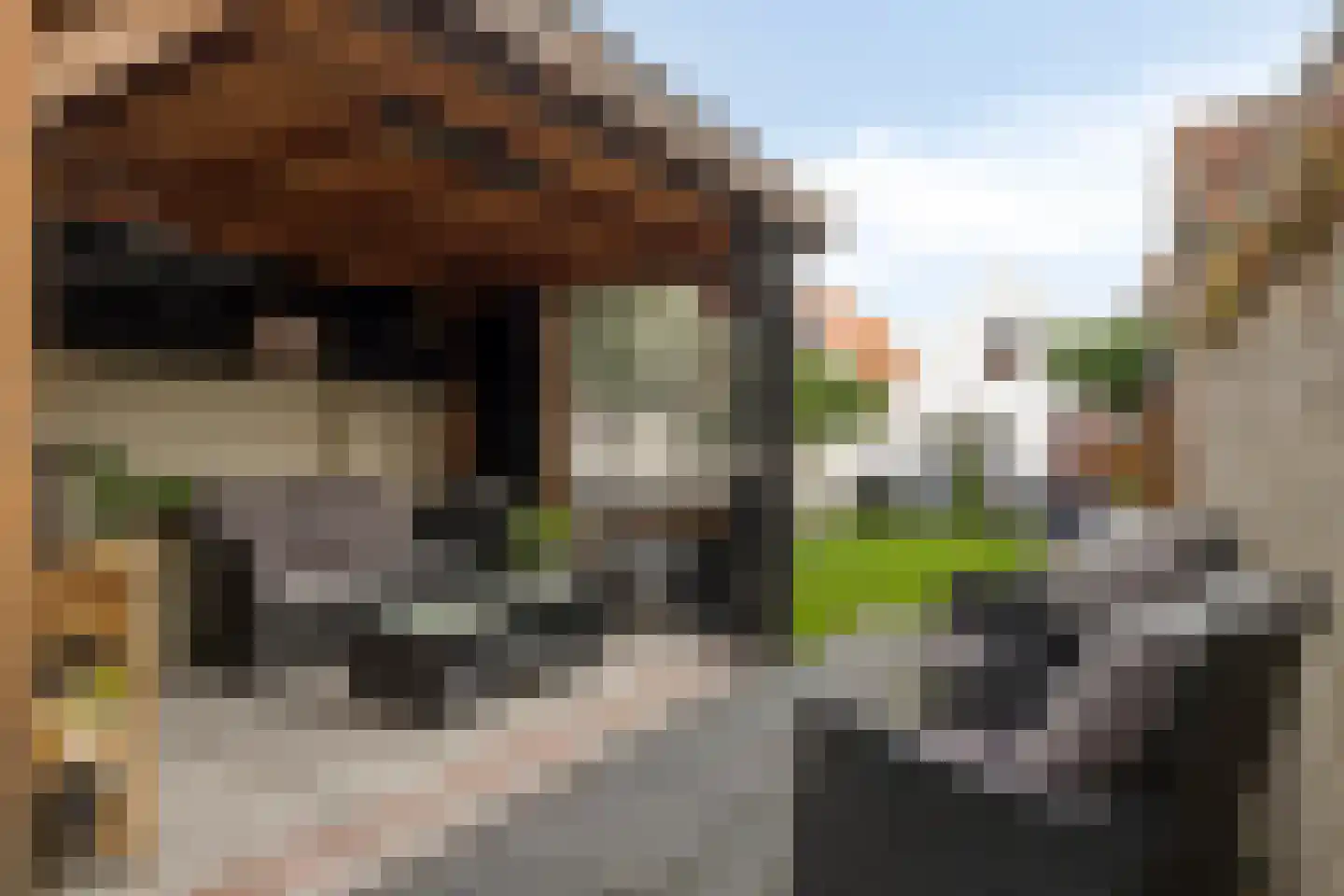 Rozemarijnstraat 34 Brielle thumbnail 32