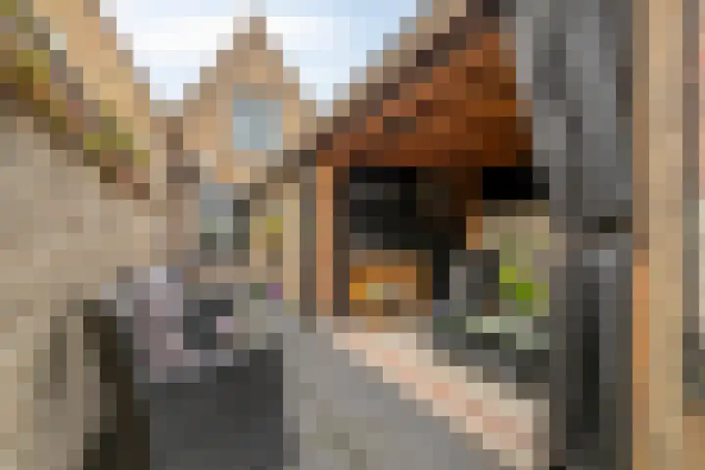 Rozemarijnstraat 34 Brielle thumbnail 33