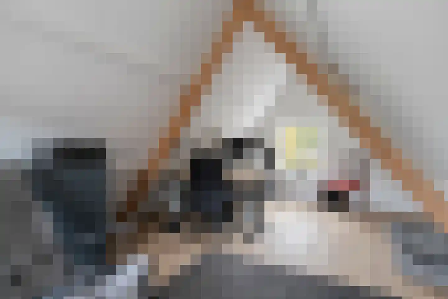 Rozemarijnstraat 34 Brielle thumbnail 38