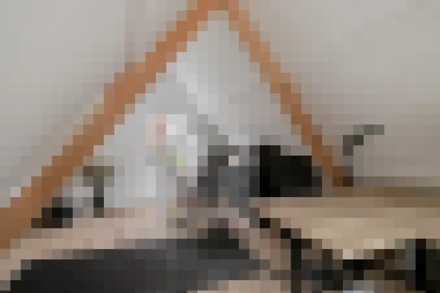 Rozemarijnstraat 34 Brielle thumbnail 39
