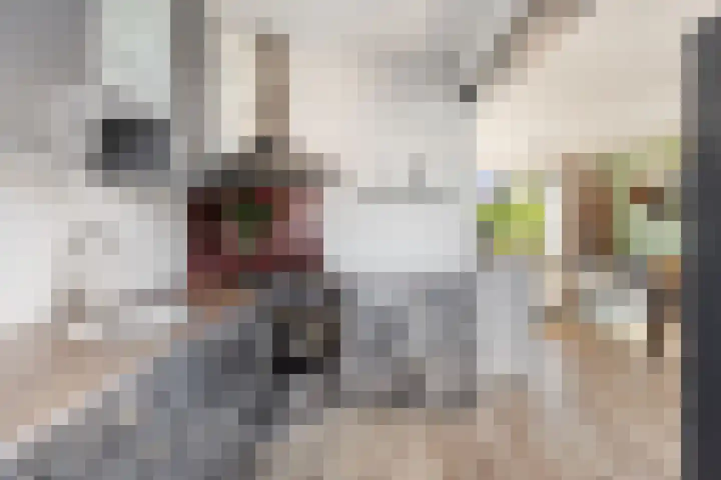 Rozemarijnstraat 4 Arnhem thumbnail 11
