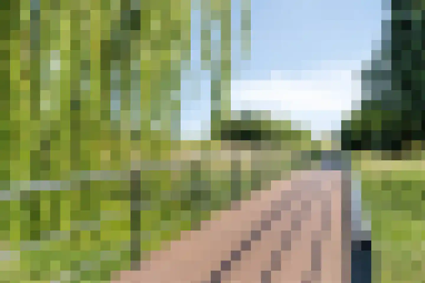 Rozemarijnstraat 4 Arnhem thumbnail 36