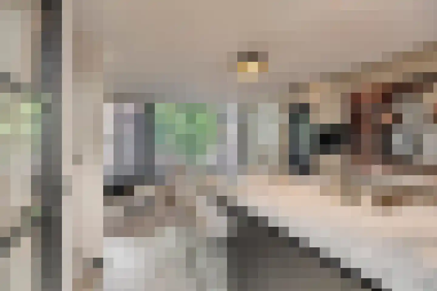 Rozemarijnstraat 41 Eindhoven thumbnail 16