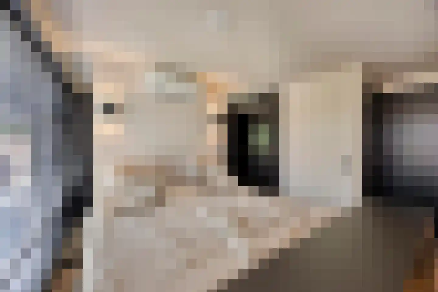 Rozemarijnstraat 41 Eindhoven thumbnail 20