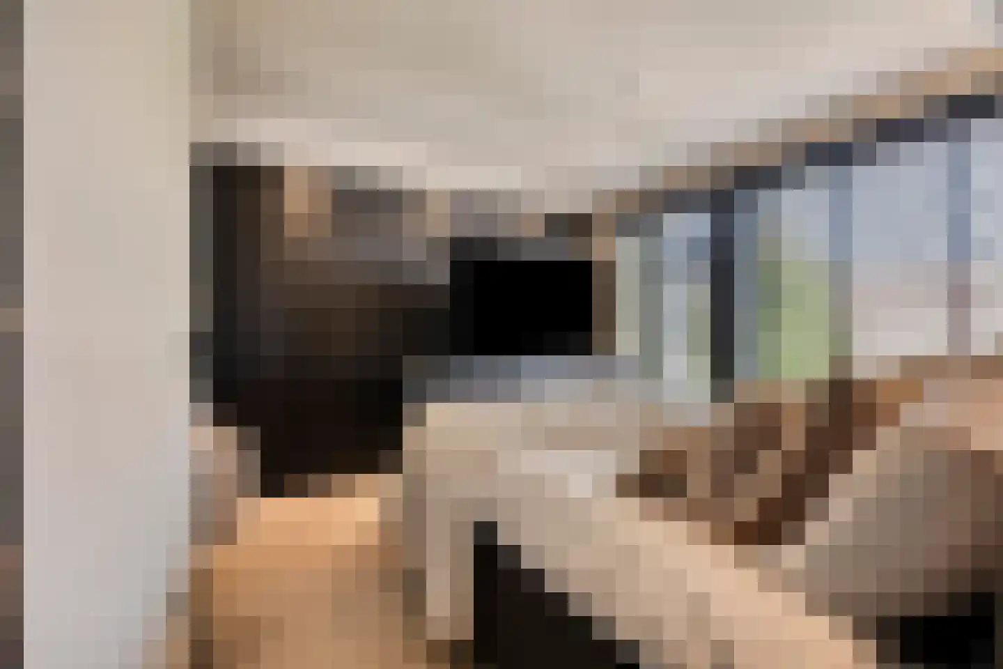 Rozemarijnstraat 41 Eindhoven thumbnail 22