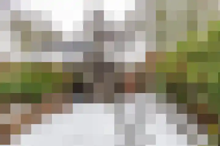 Rozemarijnstraat 43 Groningen thumbnail 28
