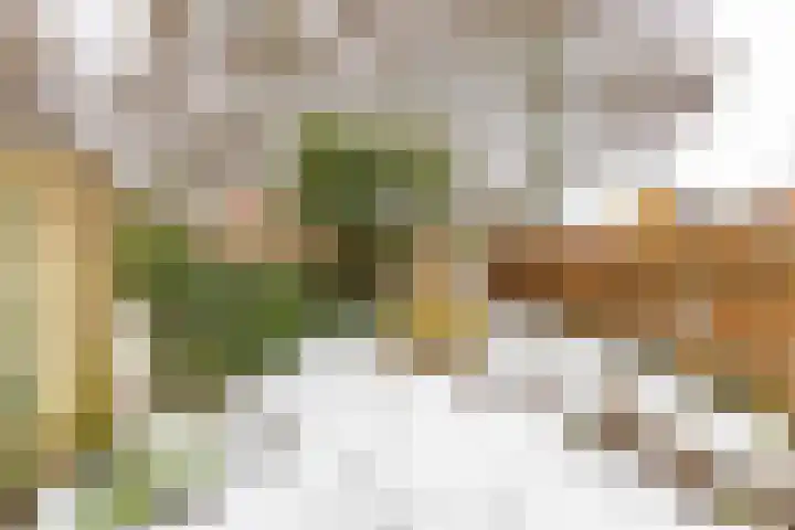 Rozemarijnstraat 43 Groningen thumbnail 30