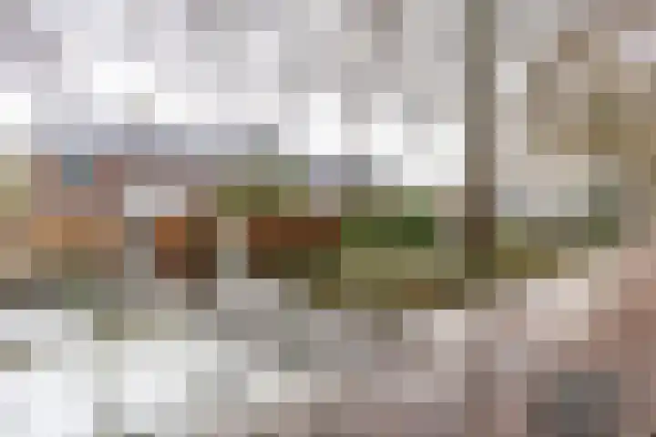 Rozemarijnstraat 43 Groningen thumbnail 31