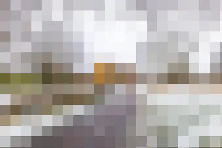 Rozemarijnstraat 43 Groningen thumbnail 32