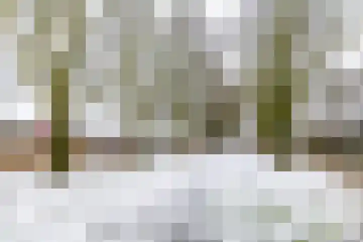 Rozemarijnstraat 43 Groningen thumbnail 33