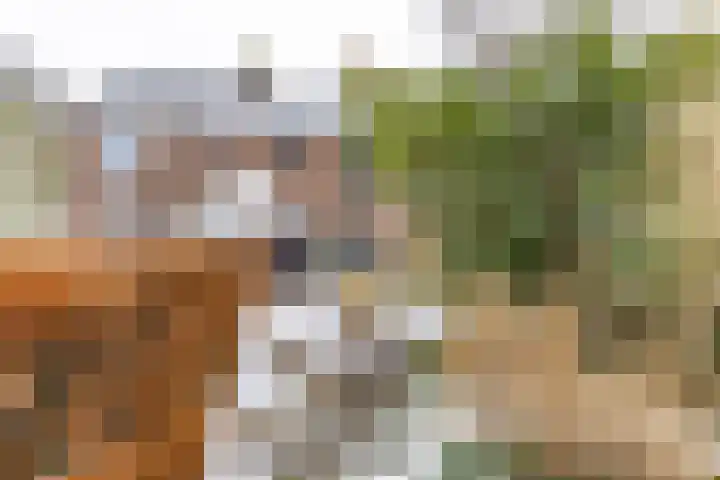 Rozemarijnstraat 43 Groningen thumbnail 4