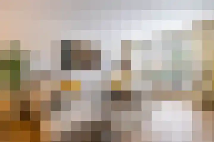 Rozemarijnstraat 43 Groningen thumbnail 8