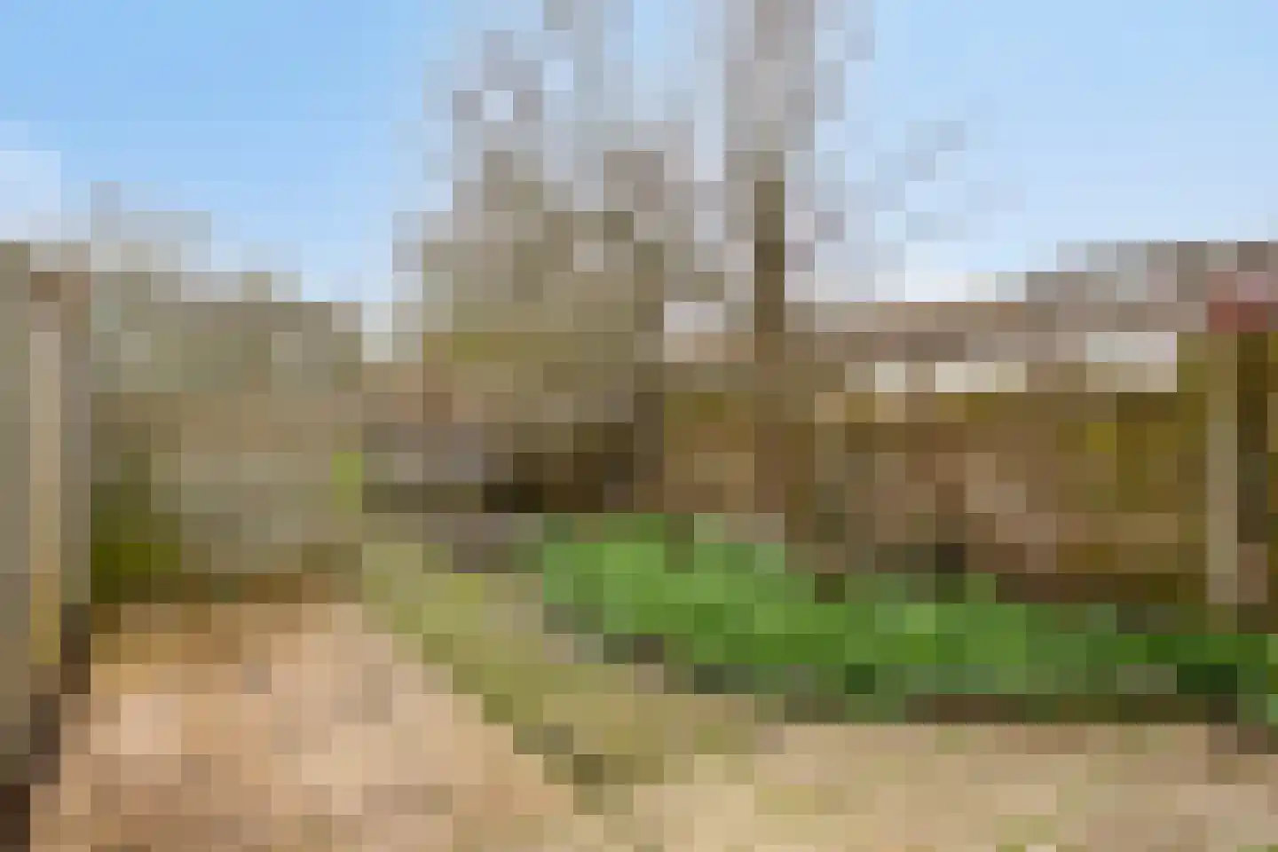 Rozemarijnstraat 8 Almere thumbnail 24