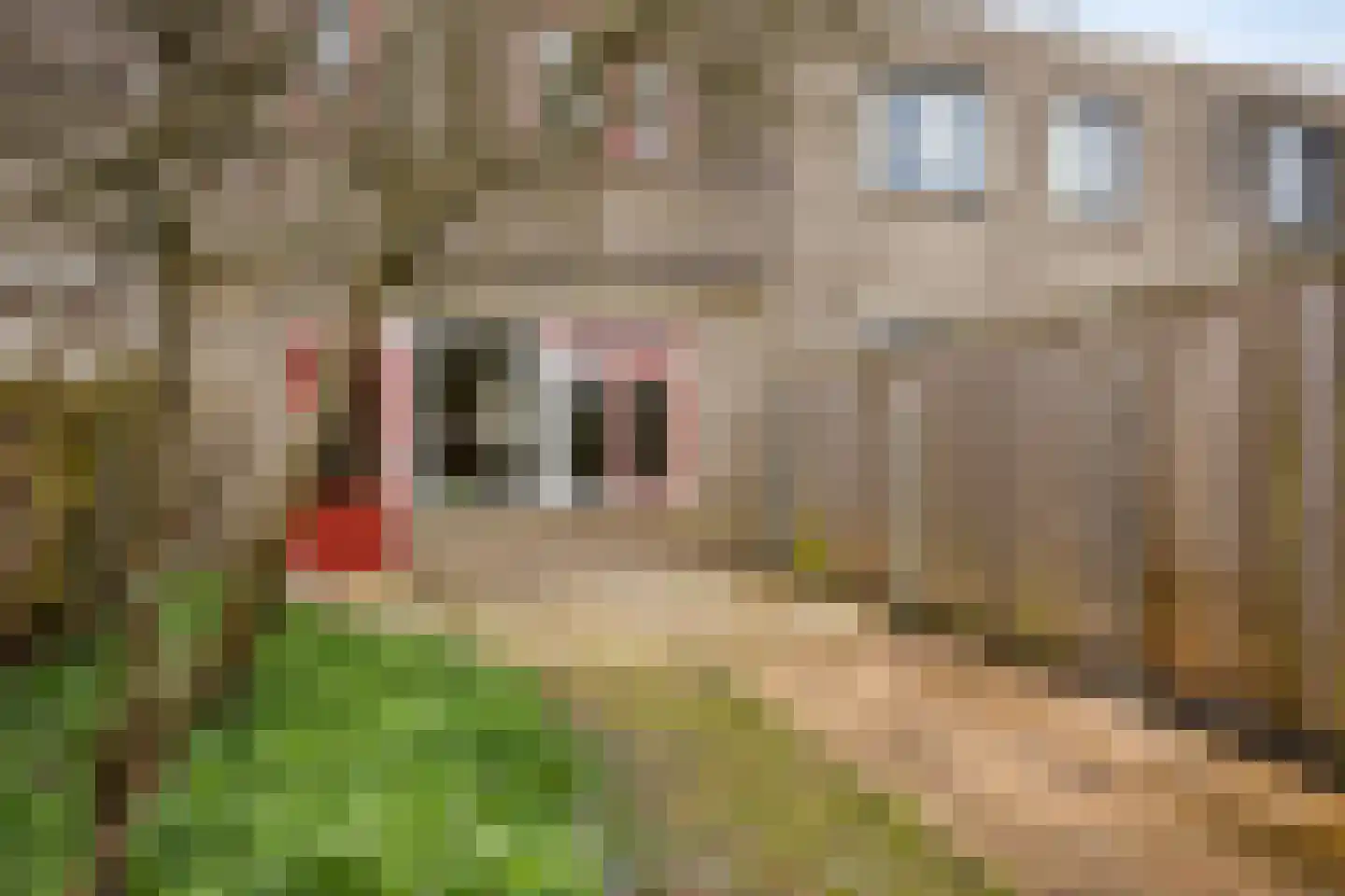 Rozemarijnstraat 8 Almere thumbnail 25