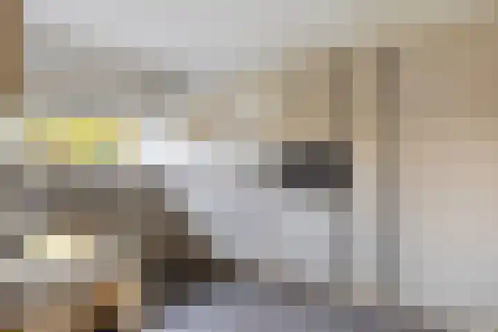 Rozemarijnstraat 9 Heinkenszand thumbnail 12