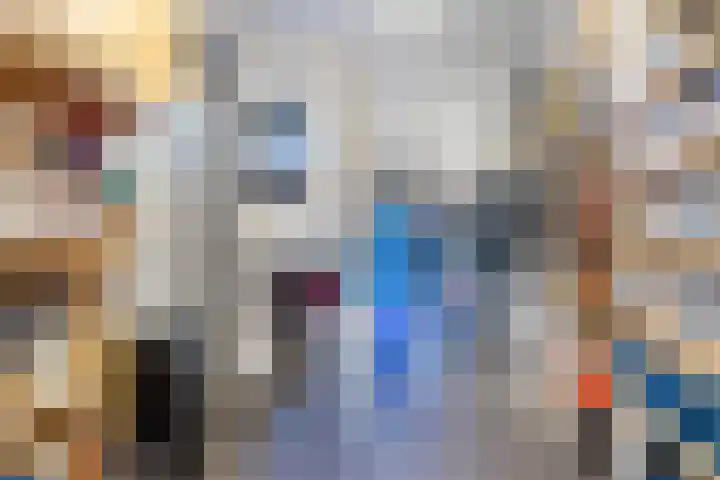 Rozemarijnstraat 9 Heinkenszand thumbnail 18