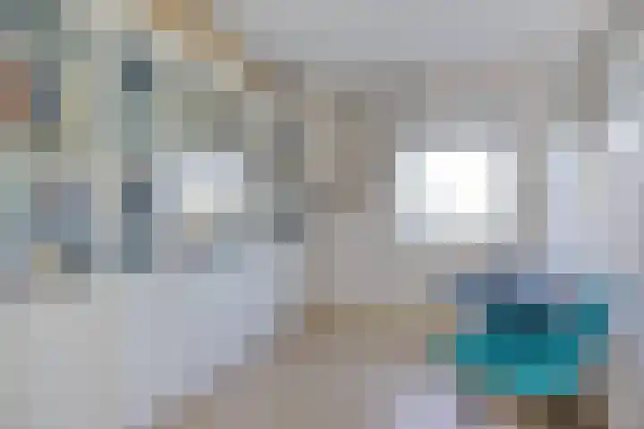 Rozemarijnstraat 9 Heinkenszand thumbnail 24
