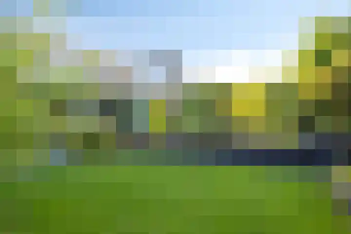 Rozemarijnstraat 9 Heinkenszand thumbnail 30