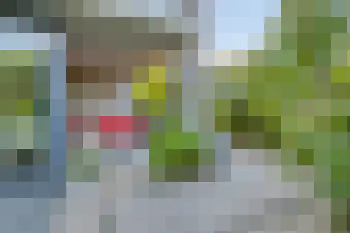 Rozemarijnstraat 9 Heinkenszand thumbnail 31