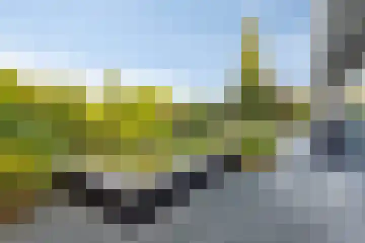 Rozemarijnstraat 9 Heinkenszand thumbnail 34