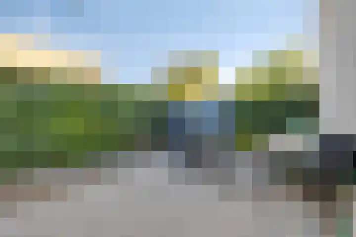 Rozemarijnstraat 9 Heinkenszand thumbnail 35