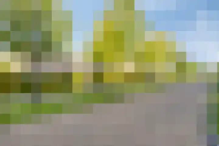 Rozemarijnstraat 9 Heinkenszand thumbnail 36