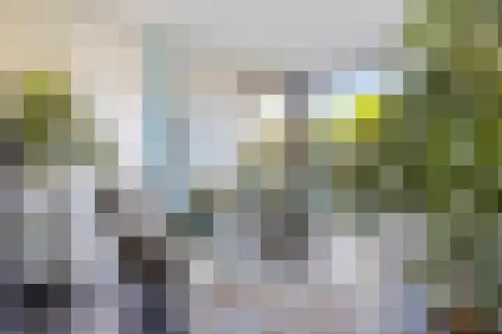 Rozemarijnstraat 9 Heinkenszand thumbnail 6