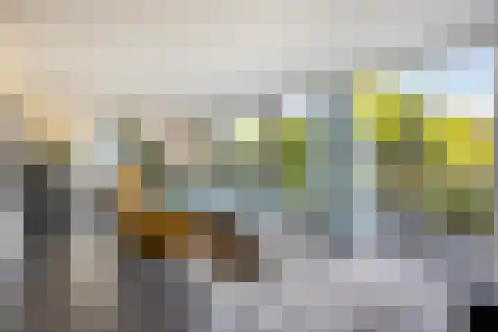 Rozemarijnstraat 9 Heinkenszand thumbnail 7