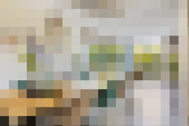 Rozemarijnstraat 9 Heinkenszand thumbnail 8