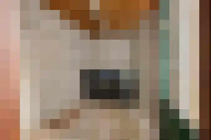 Rozemarijntuin 24 Leiderdorp thumbnail 15
