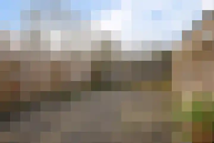 Rozemarijntuin 24 Leiderdorp thumbnail 33