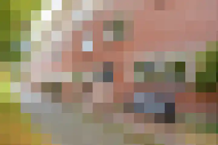 Rozemarijntuin 27 Assen thumbnail 24