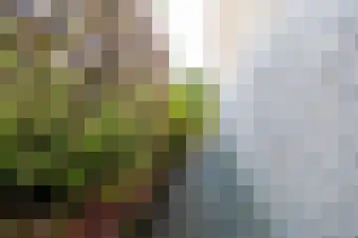 Rozemarijntuin 27 Assen thumbnail 25