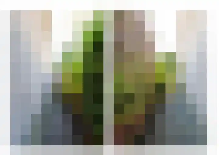 Rozemarijntuin 27 Assen thumbnail 26