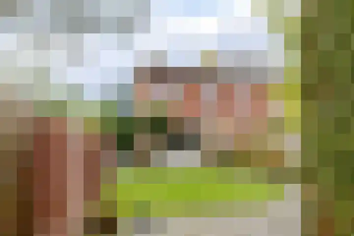 Rozemarijntuin 27 Assen thumbnail 27