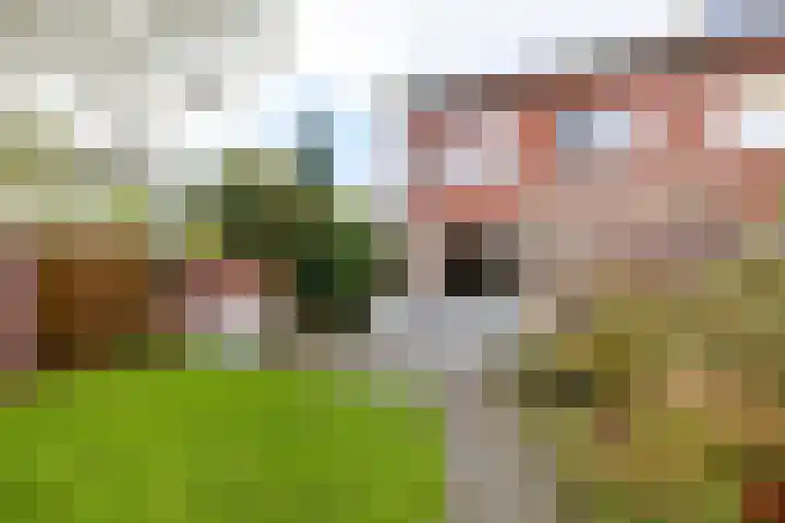 Rozemarijntuin 27 Assen thumbnail 29