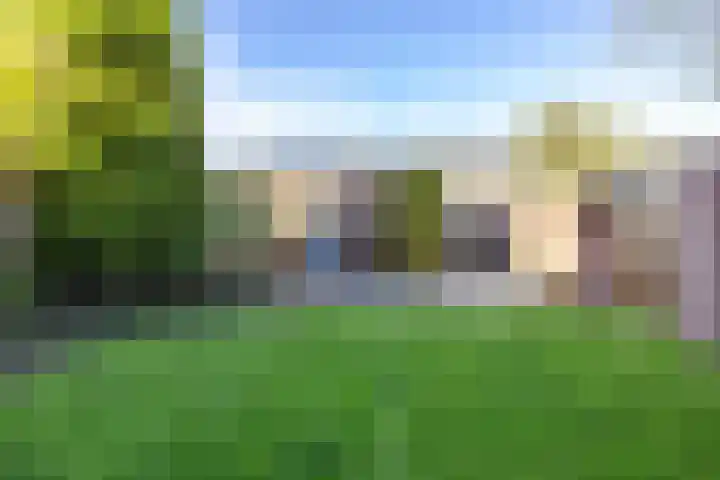 Rozemarijntuin 27 Assen thumbnail 32