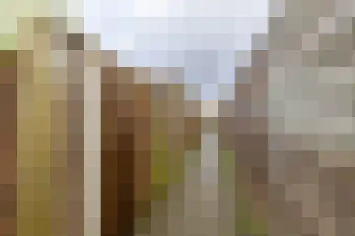 Rozemarijntuin 27 Assen thumbnail 34