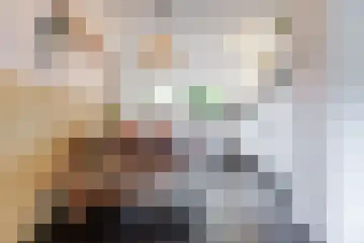 Rozemarijntuin 27 Assen thumbnail 8