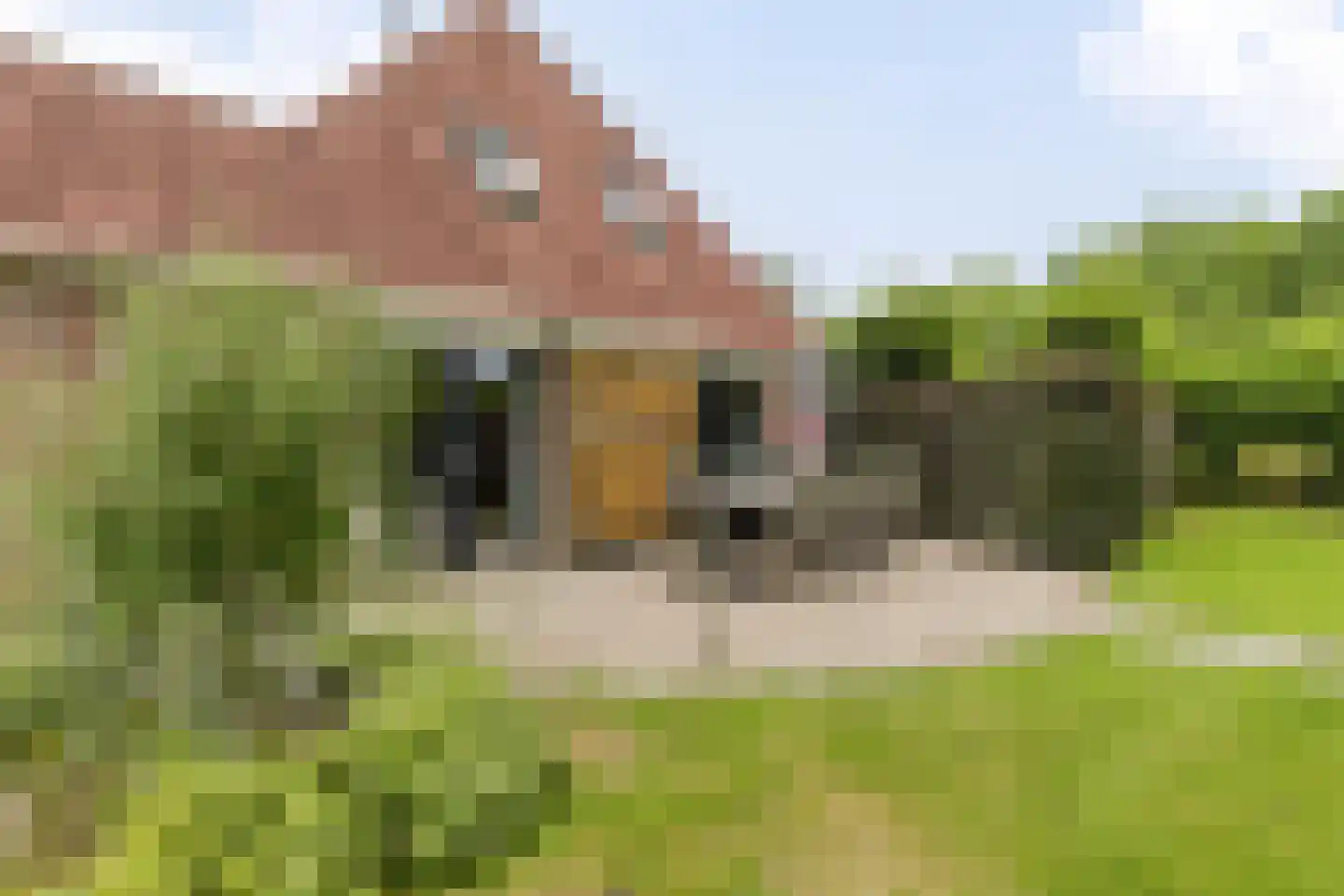 Rozenbergswijk 29 Jubbega thumbnail 31