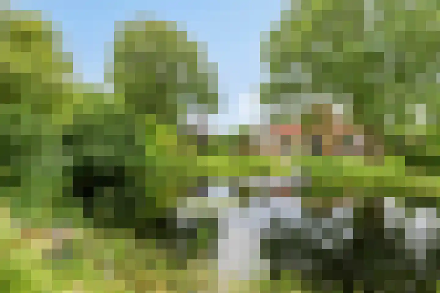 Rozenbergswijk 29 Jubbega thumbnail 33