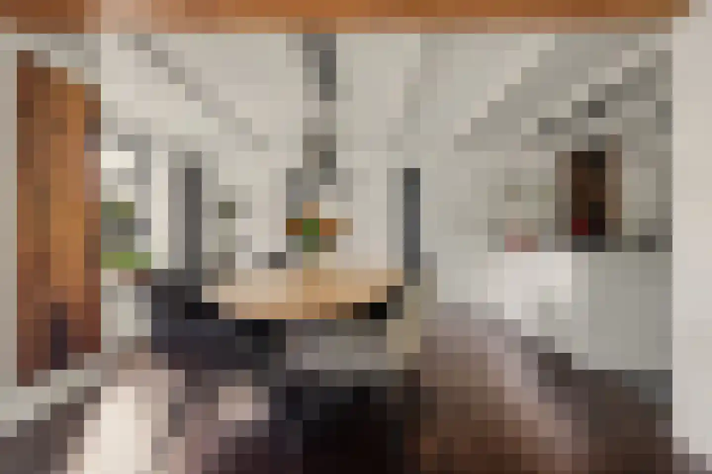 Rozenbloemstraat 25 Made thumbnail 12