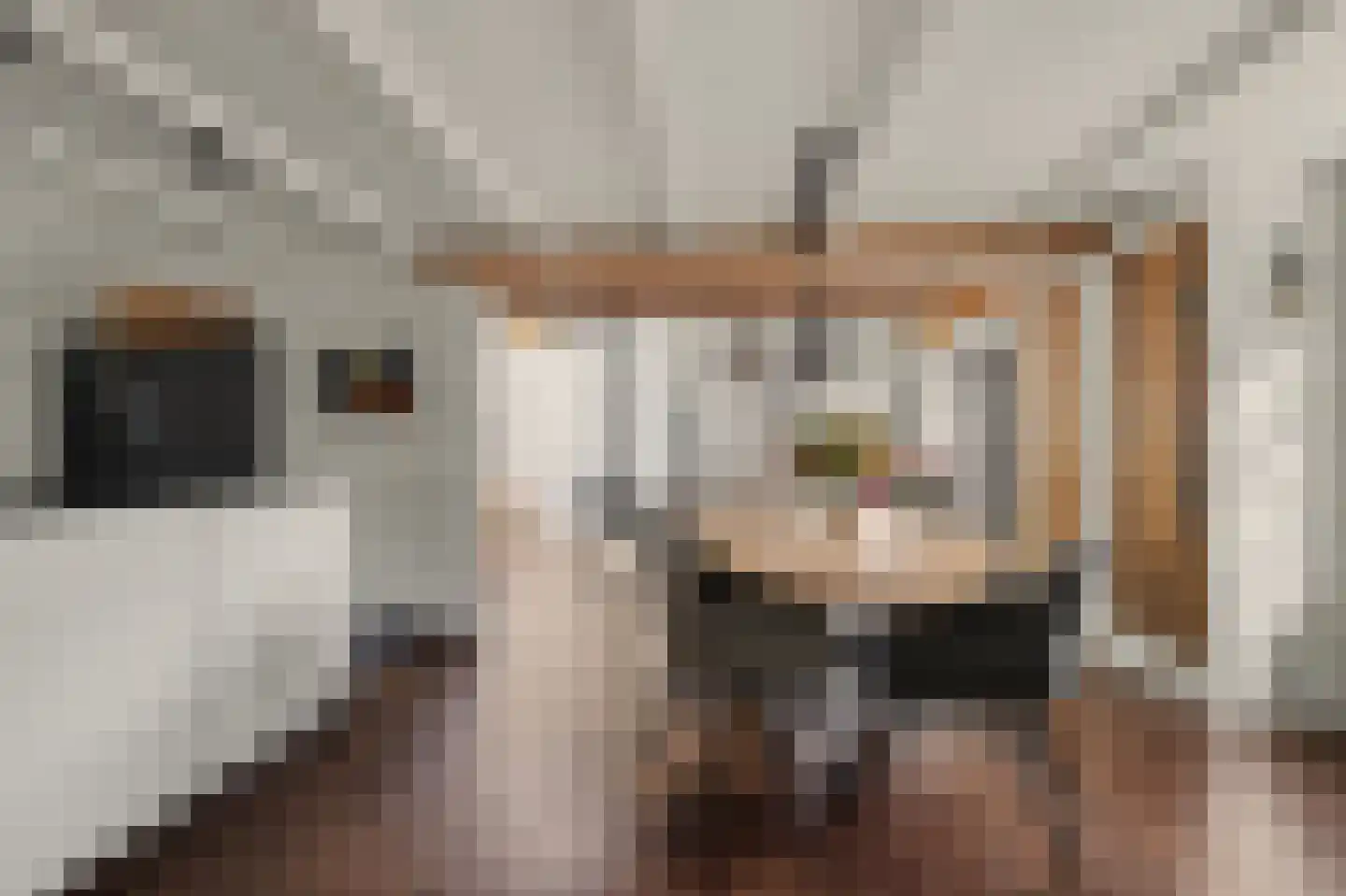 Rozenbloemstraat 25 Made thumbnail 15