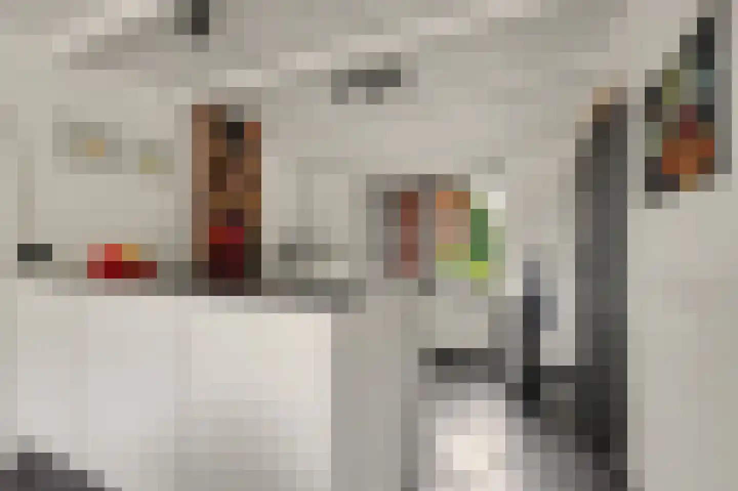 Rozenbloemstraat 25 Made thumbnail 19